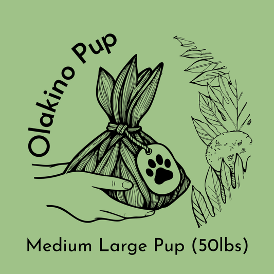 Turkey + Veggie Pup Food- Medium Large (50lbs)