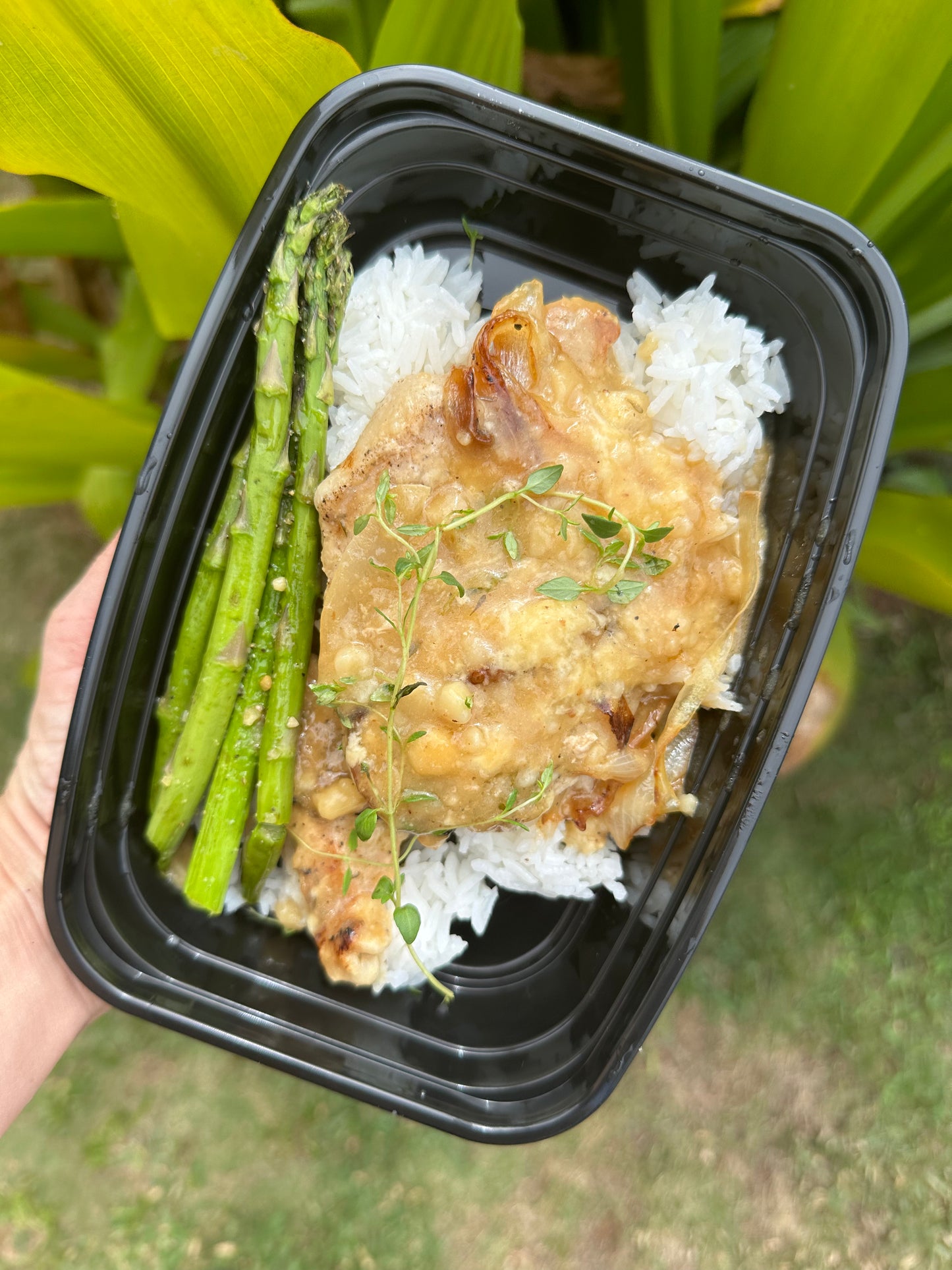 French Onion Smothered Pork Chops