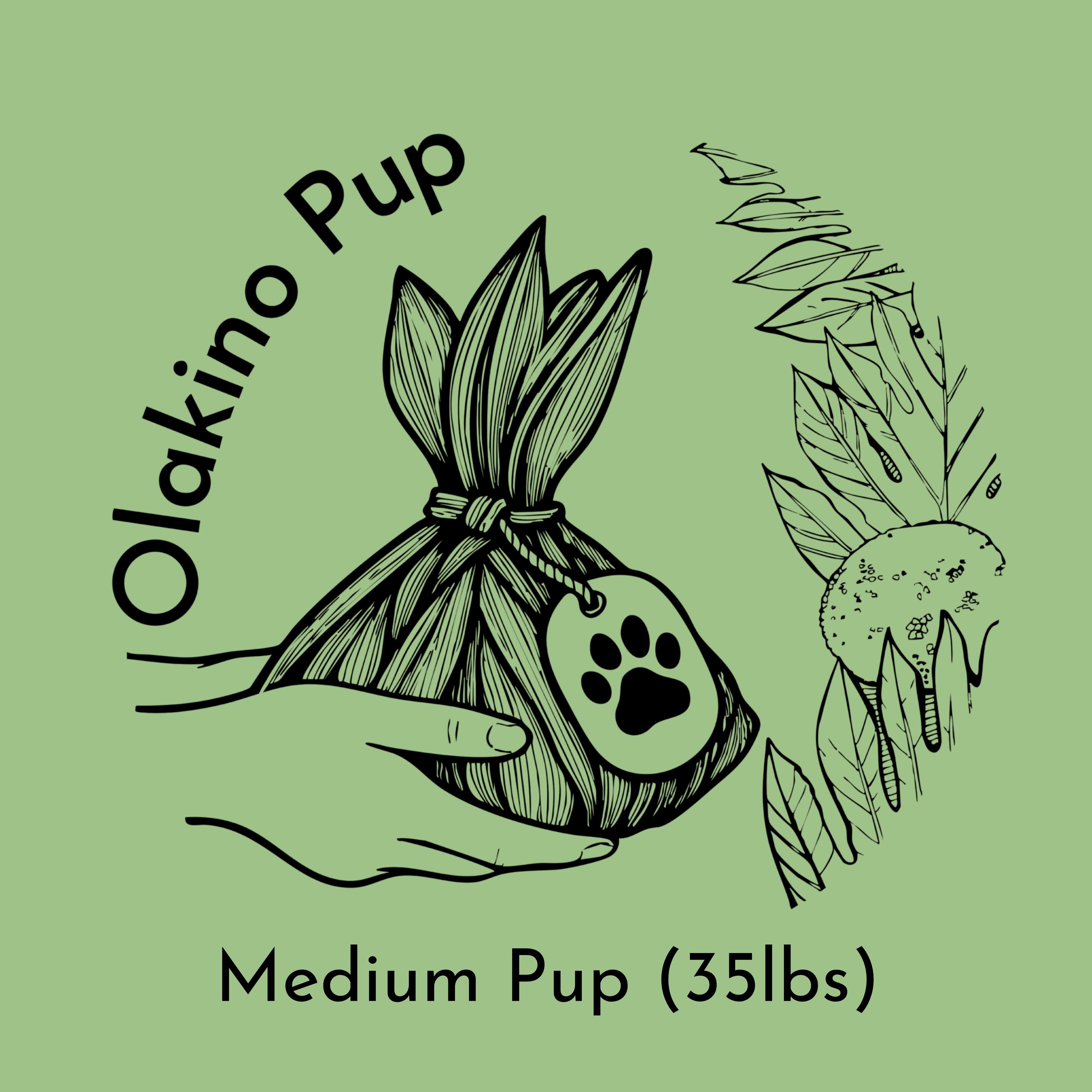 Turkey + Veggie Pup Food- Medium (35lb) – OlakinoEats