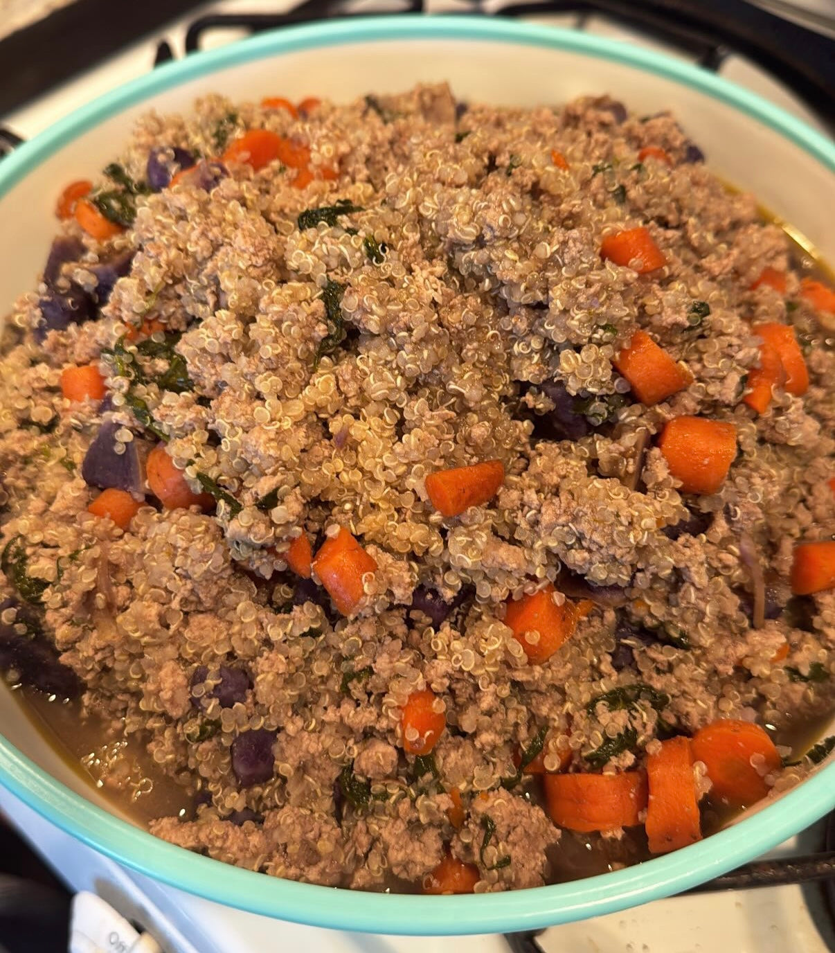 Turkey + Veggie Pup Food- Large (75lbs)
