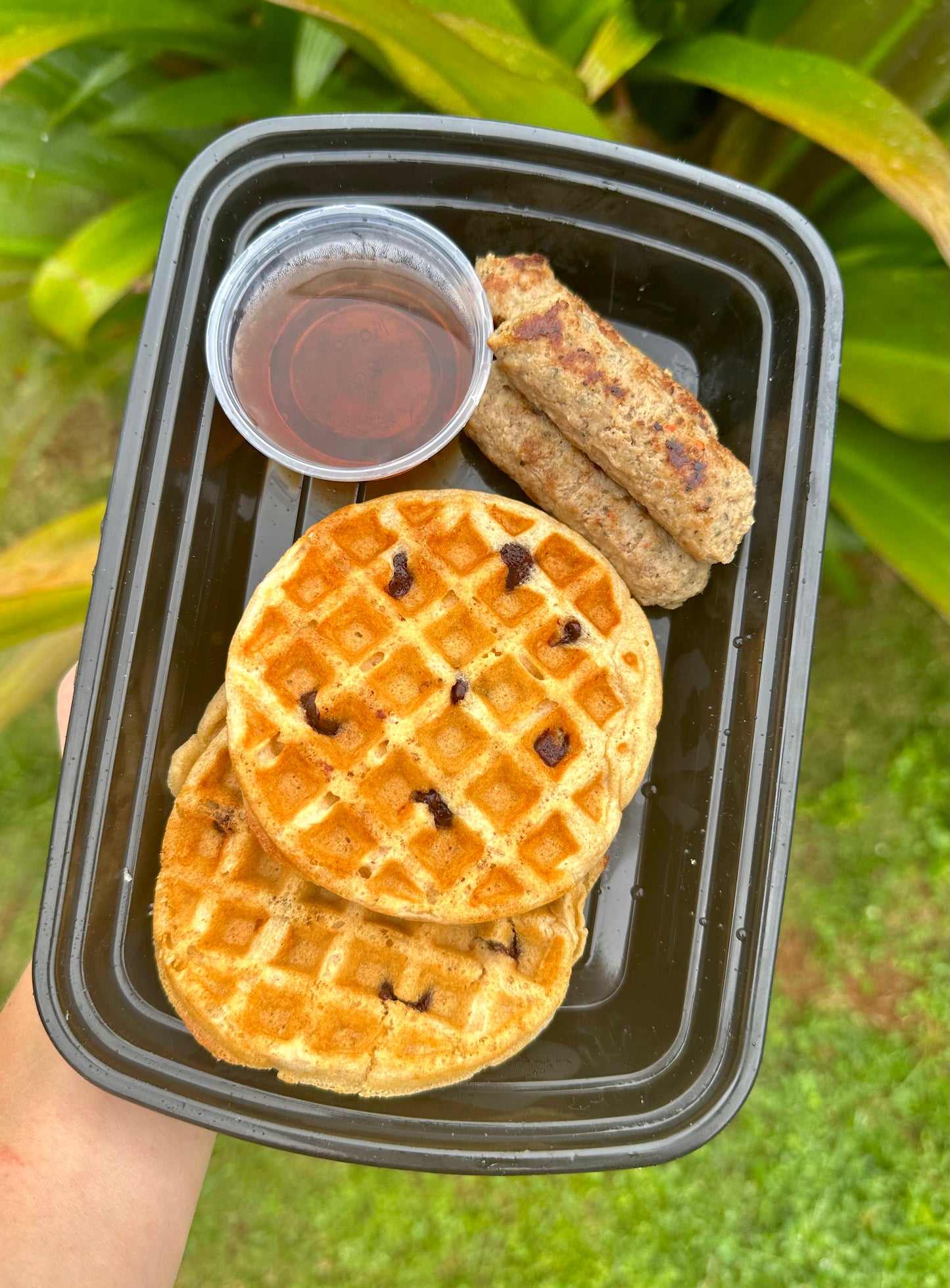 Chocolate Chip Protein Waffles